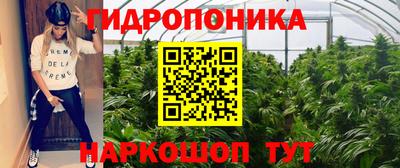 наркотики Дубна