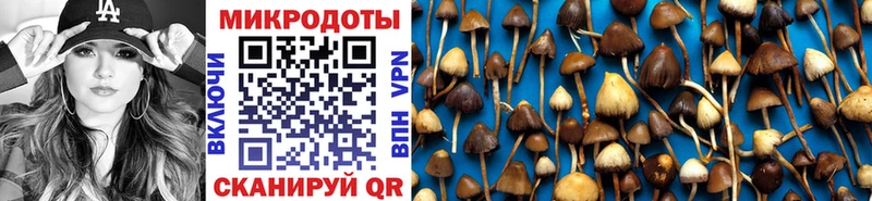 Псилоцибиновые грибы Cubensis  закладка  Лянтор 