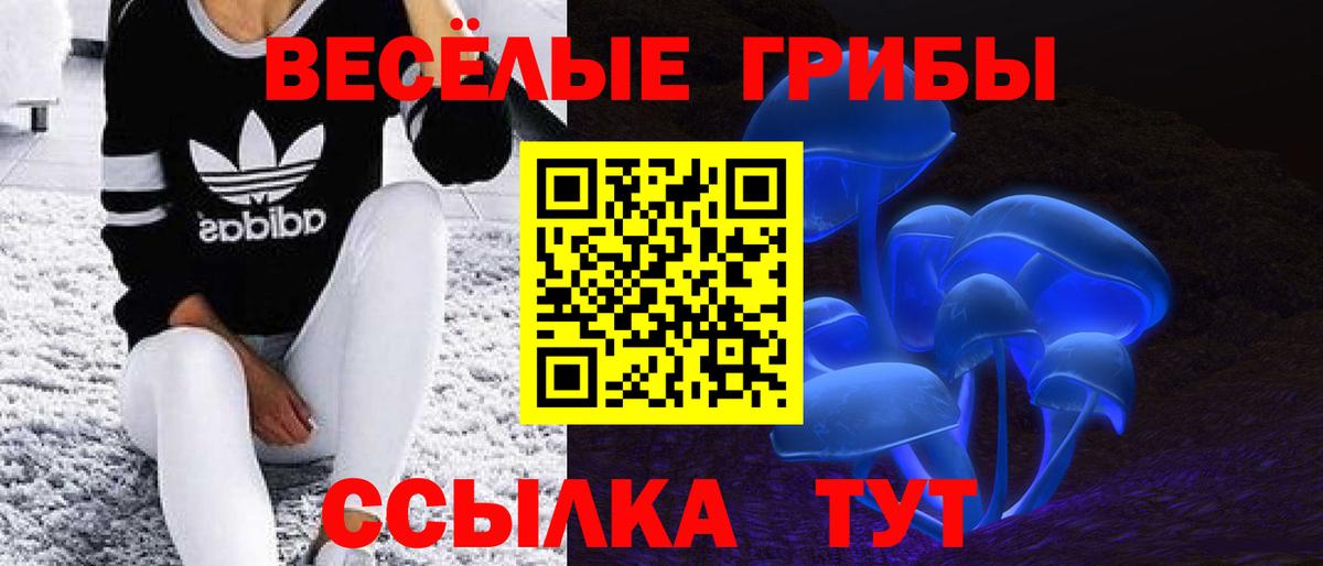 Галлюциногенные грибы GOLDEN TEACHER Лянтор