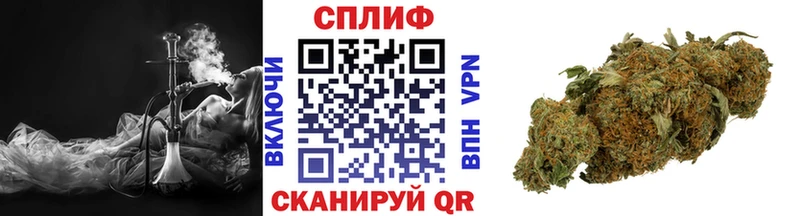 где купить наркоту  Лянтор  Марихуана тримм 